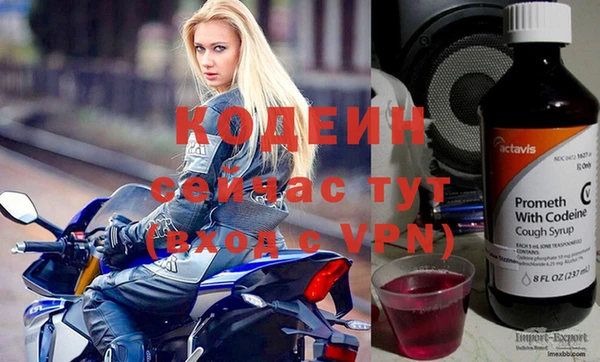 шишки Новозыбков