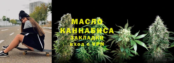 шишки Новозыбков