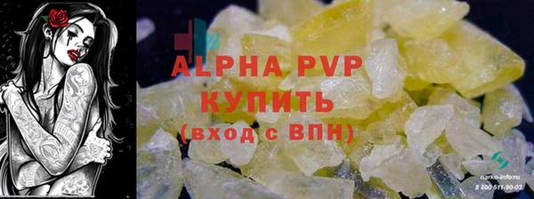 PSILOCYBIN Новодвинск