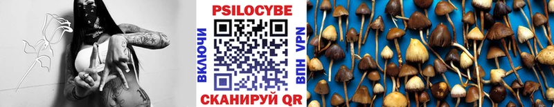 кракен онион  Южно-Сухокумск  Псилоцибиновые грибы мицелий 